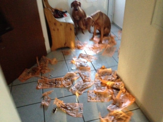 Zerstörung im Haus. Was sind Ursachen?