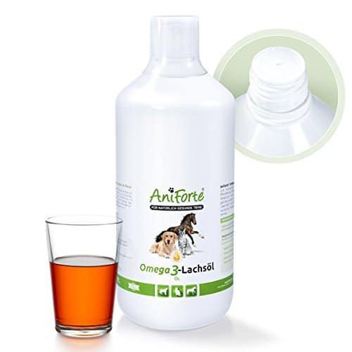 Lachsöl Fischöl Öle mit großer Wirkung WissenHund.de